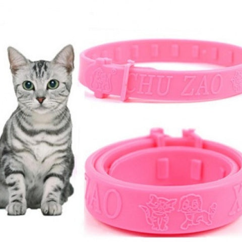 Cats' Accessories